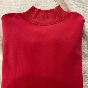 red aerie large sweater crew neck
